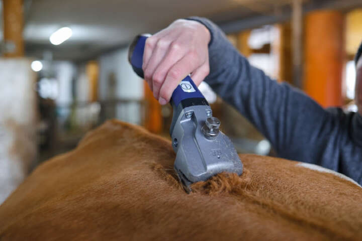 AESCULAP Akkuschermaschine Bonum Pro für Pferde